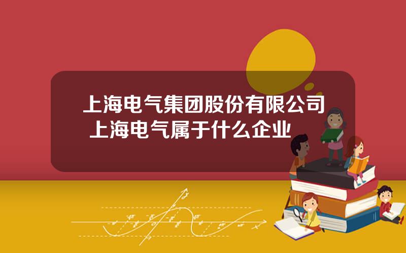 上海电气集团股份有限公司 上海电气属于什么企业